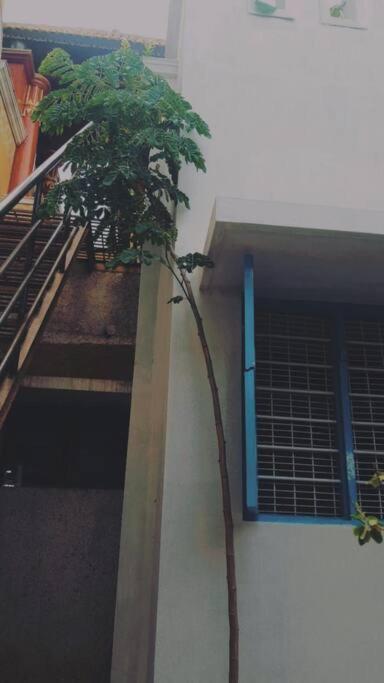 The Vintage House Villa Mysore Exterior photo